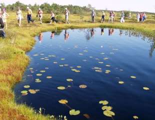 Bogshoeing-on-the-Peatlands-of-Estonia